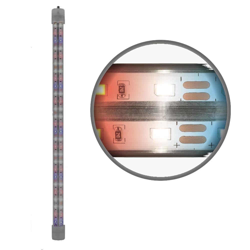 led kolor1.jpg